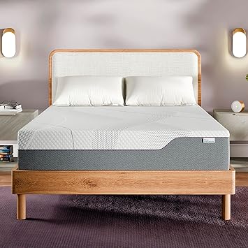 Sleep Innovations Shiloh 12 Inch Green Tea Memory Foam Queen
